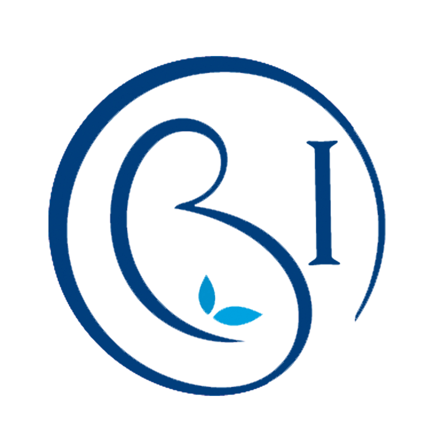 OBI New Logo