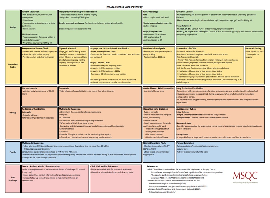 Figure 1. MSQC Hernia Care Pathways