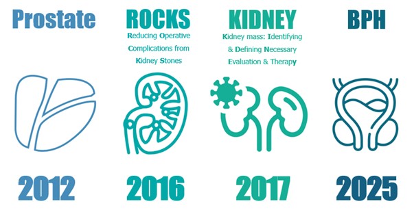 Figure 1: Michigan Urological Surgery Improvement Collaborative Programs Graphic of MUSIC's Prostate, ROCKS, Kidney and BPH Programs